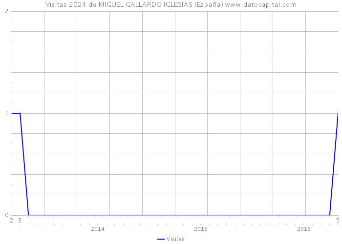 Visitas 2024 de MIGUEL GALLARDO IGLESIAS (España) 