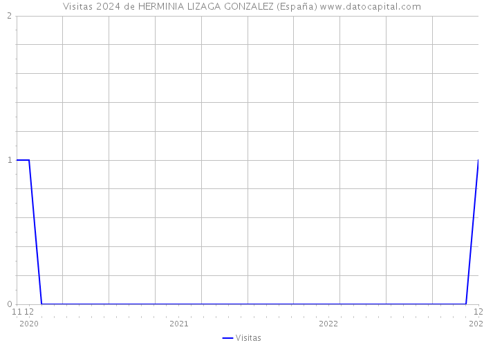Visitas 2024 de HERMINIA LIZAGA GONZALEZ (España) 