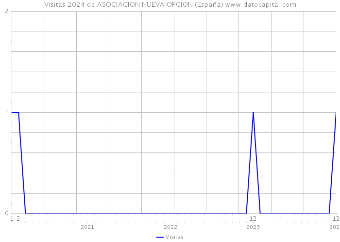 Visitas 2024 de ASOCIACION NUEVA OPCION (España) 