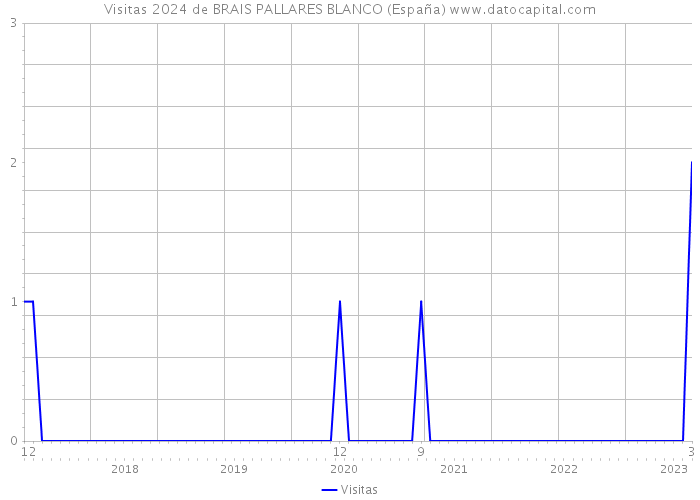 Visitas 2024 de BRAIS PALLARES BLANCO (España) 