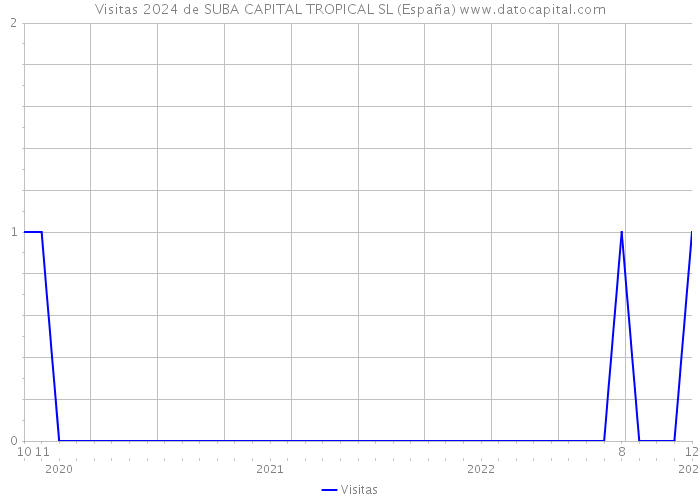 Visitas 2024 de SUBA CAPITAL TROPICAL SL (España) 