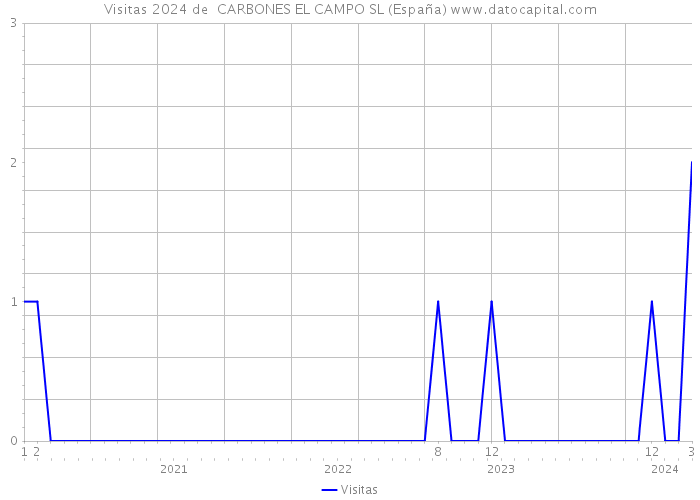 Visitas 2024 de  CARBONES EL CAMPO SL (España) 