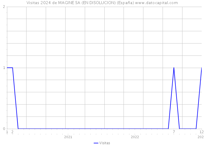 Visitas 2024 de MAGINE SA (EN DISOLUCION) (España) 