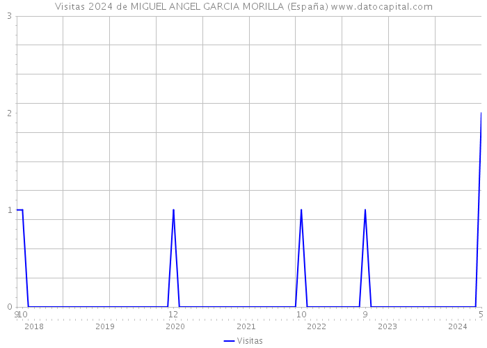 Visitas 2024 de MIGUEL ANGEL GARCIA MORILLA (España) 