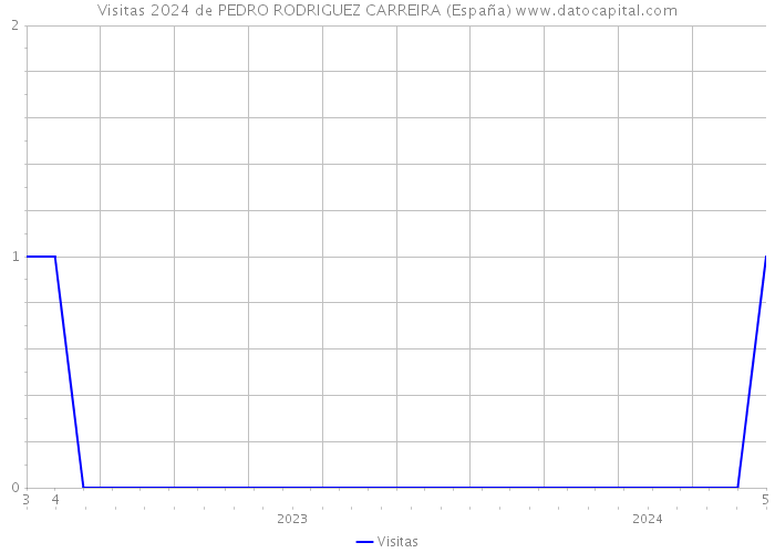 Visitas 2024 de PEDRO RODRIGUEZ CARREIRA (España) 