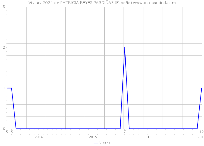 Visitas 2024 de PATRICIA REYES PARDIÑAS (España) 