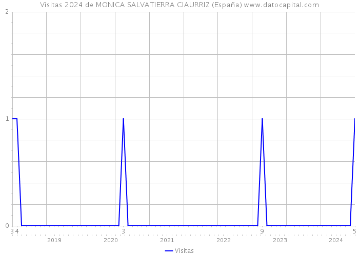 Visitas 2024 de MONICA SALVATIERRA CIAURRIZ (España) 
