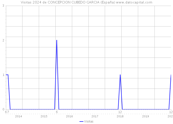Visitas 2024 de CONCEPCION CUBEDO GARCIA (España) 
