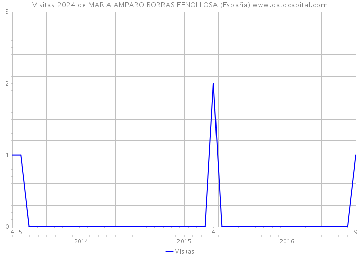 Visitas 2024 de MARIA AMPARO BORRAS FENOLLOSA (España) 