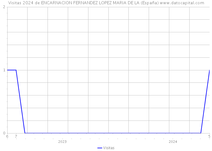 Visitas 2024 de ENCARNACION FERNANDEZ LOPEZ MARIA DE LA (España) 