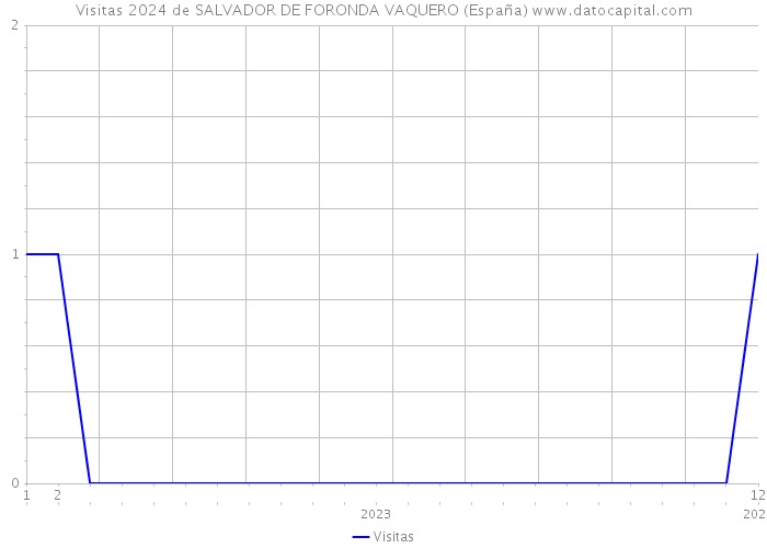 Visitas 2024 de SALVADOR DE FORONDA VAQUERO (España) 
