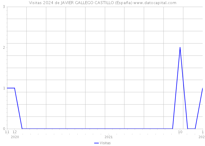Visitas 2024 de JAVIER GALLEGO CASTILLO (España) 
