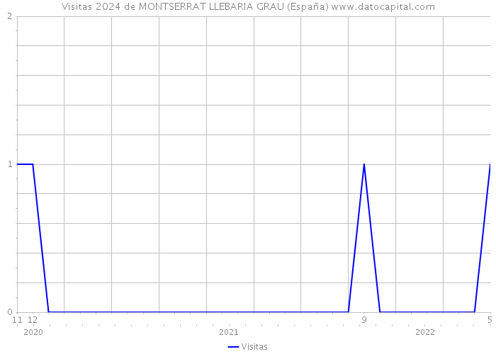 Visitas 2024 de MONTSERRAT LLEBARIA GRAU (España) 