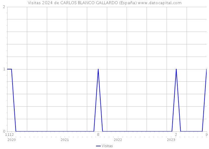 Visitas 2024 de CARLOS BLANCO GALLARDO (España) 