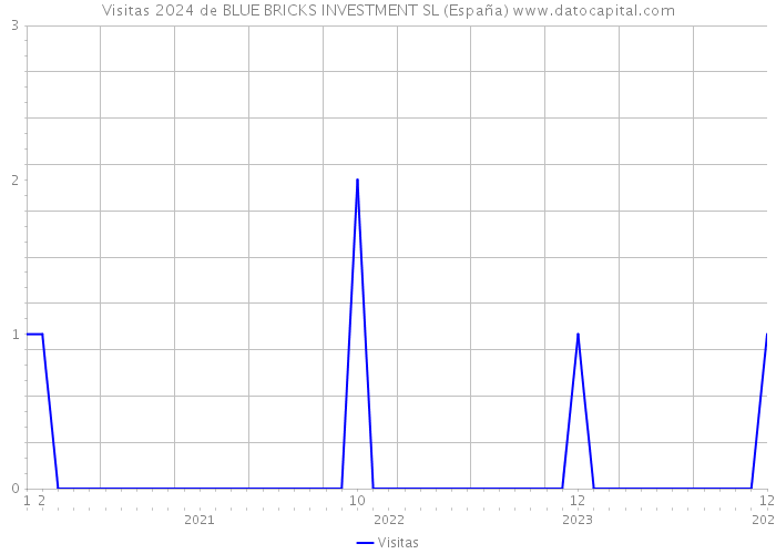 Visitas 2024 de BLUE BRICKS INVESTMENT SL (España) 