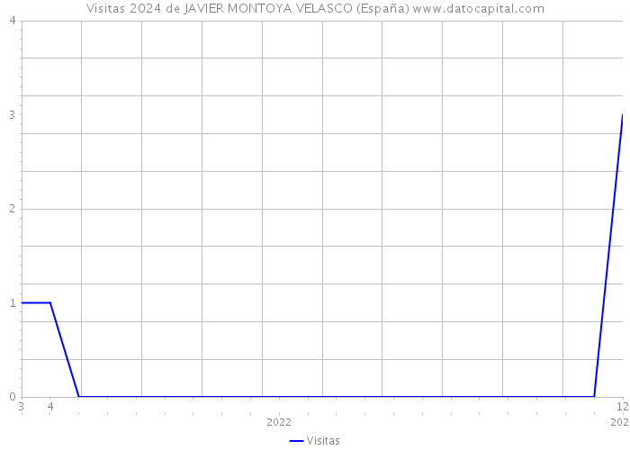 Visitas 2024 de JAVIER MONTOYA VELASCO (España) 