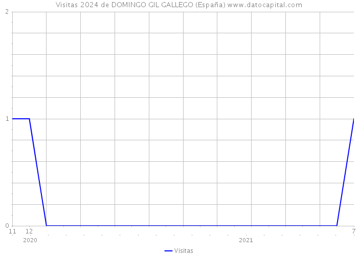 Visitas 2024 de DOMINGO GIL GALLEGO (España) 