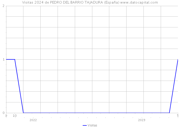 Visitas 2024 de PEDRO DEL BARRIO TAJADURA (España) 