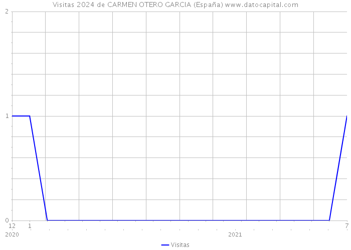 Visitas 2024 de CARMEN OTERO GARCIA (España) 