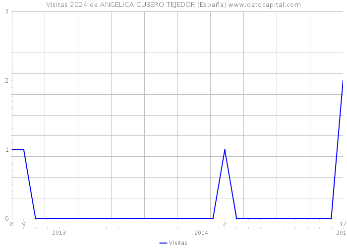 Visitas 2024 de ANGELICA CUBERO TEJEDOR (España) 