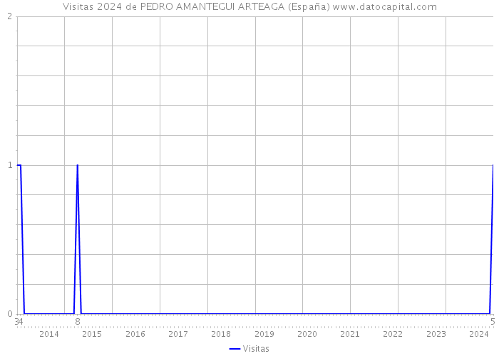 Visitas 2024 de PEDRO AMANTEGUI ARTEAGA (España) 