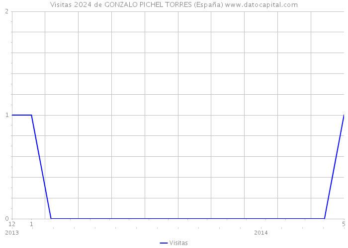 Visitas 2024 de GONZALO PICHEL TORRES (España) 
