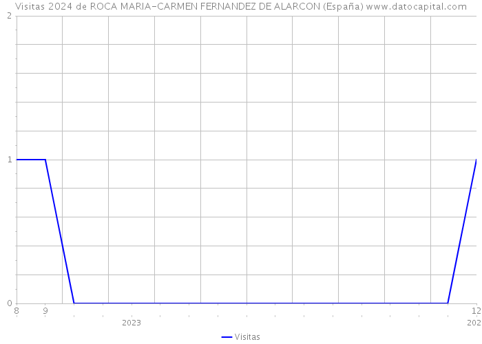 Visitas 2024 de ROCA MARIA-CARMEN FERNANDEZ DE ALARCON (España) 