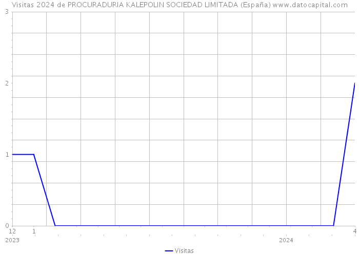 Visitas 2024 de PROCURADURIA KALEPOLIN SOCIEDAD LIMITADA (España) 