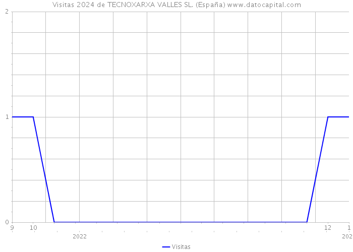 Visitas 2024 de TECNOXARXA VALLES SL. (España) 