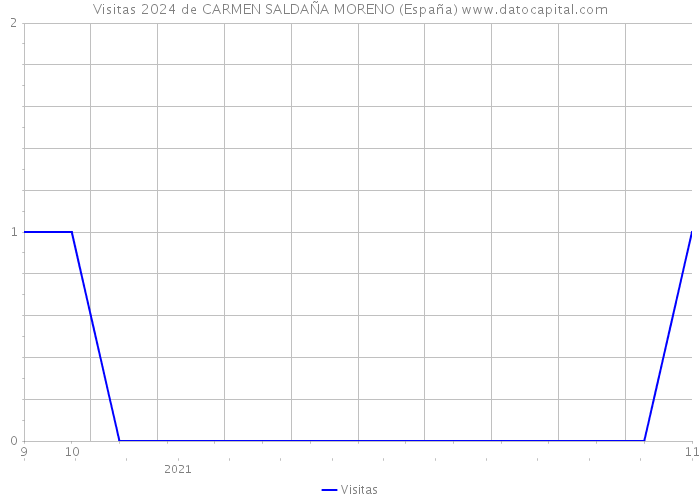 Visitas 2024 de CARMEN SALDAÑA MORENO (España) 