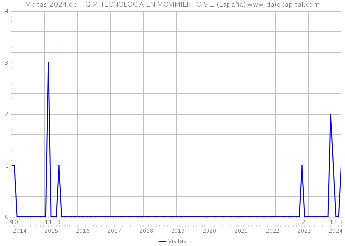 Visitas 2024 de F G M TECNOLOGIA EN MOVIMIENTO S.L. (España) 