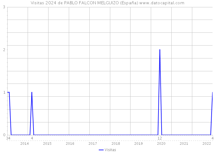 Visitas 2024 de PABLO FALCON MELGUIZO (España) 