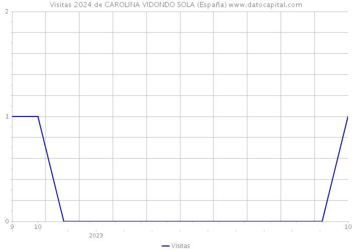 Visitas 2024 de CAROLINA VIDONDO SOLA (España) 