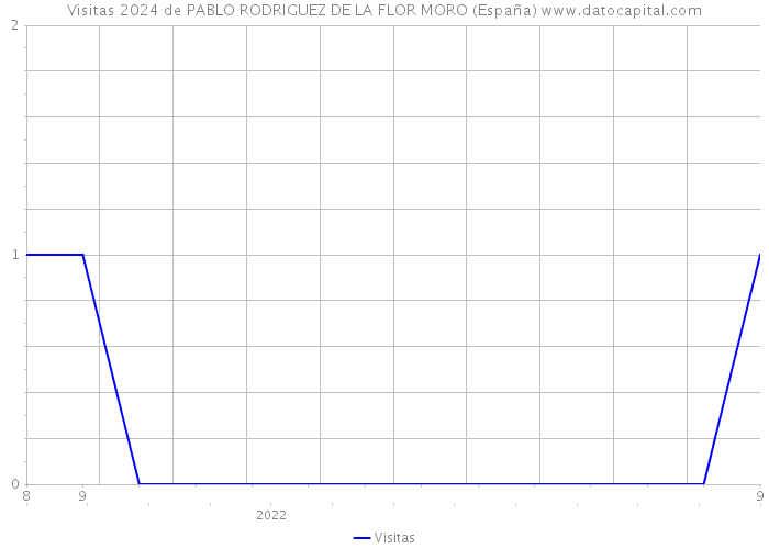 Visitas 2024 de PABLO RODRIGUEZ DE LA FLOR MORO (España) 