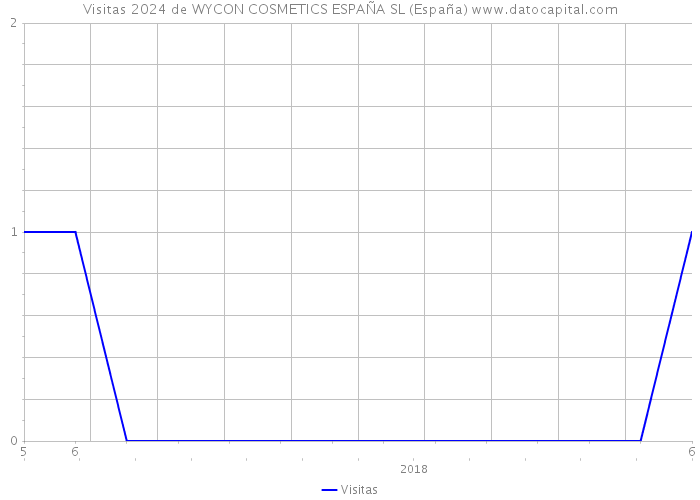 Visitas 2024 de WYCON COSMETICS ESPAÑA SL (España) 