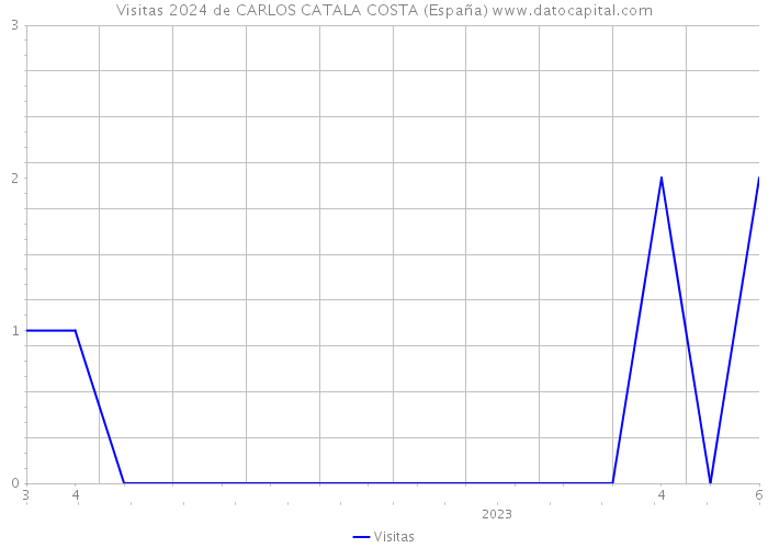 Visitas 2024 de CARLOS CATALA COSTA (España) 