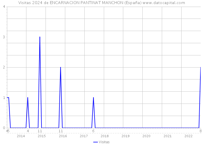 Visitas 2024 de ENCARNACION PANTINAT MANCHON (España) 