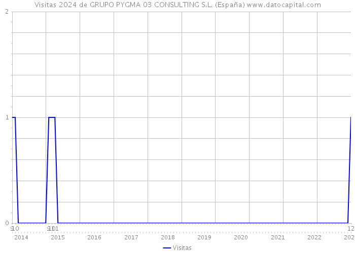 Visitas 2024 de GRUPO PYGMA 03 CONSULTING S.L. (España) 