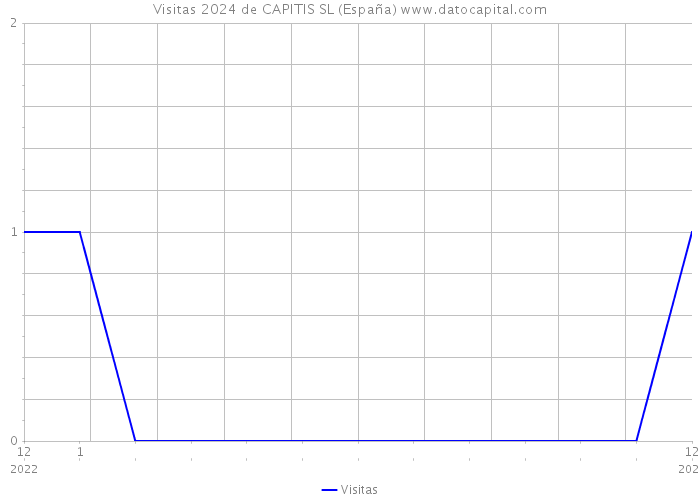 Visitas 2024 de CAPITIS SL (España) 