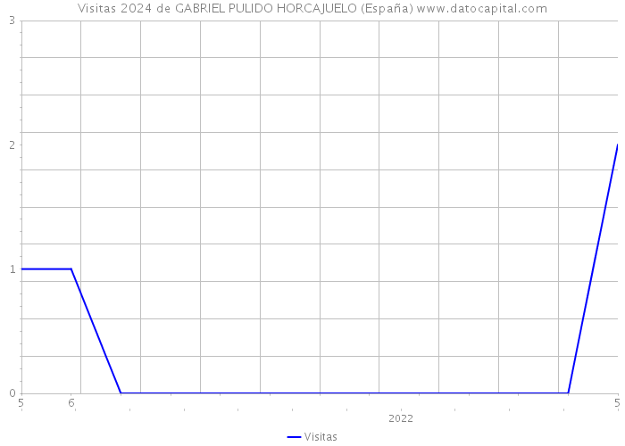Visitas 2024 de GABRIEL PULIDO HORCAJUELO (España) 