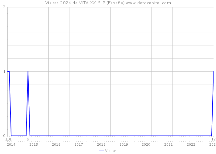 Visitas 2024 de VITA XXI SLP (España) 