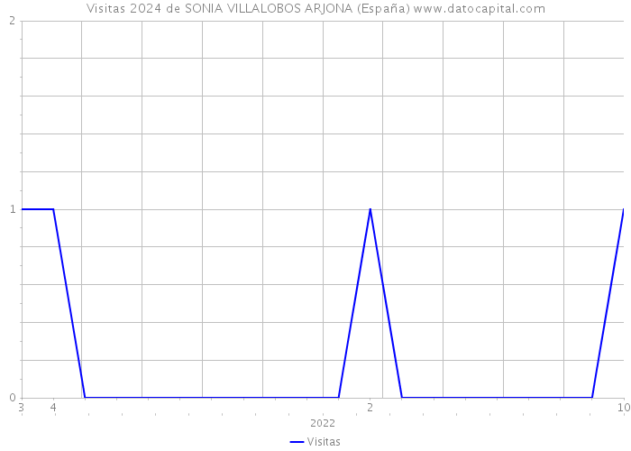 Visitas 2024 de SONIA VILLALOBOS ARJONA (España) 