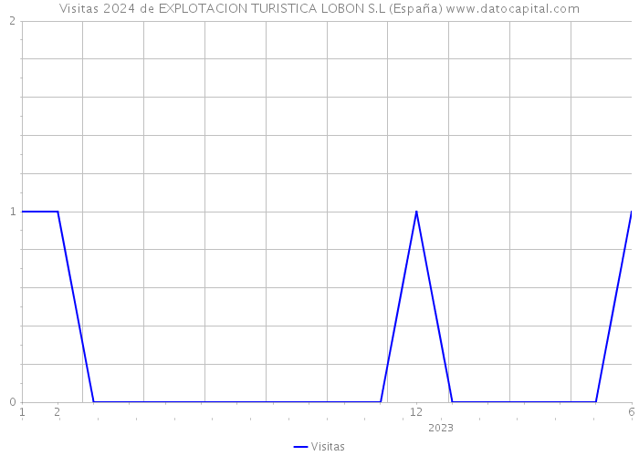 Visitas 2024 de EXPLOTACION TURISTICA LOBON S.L (España) 