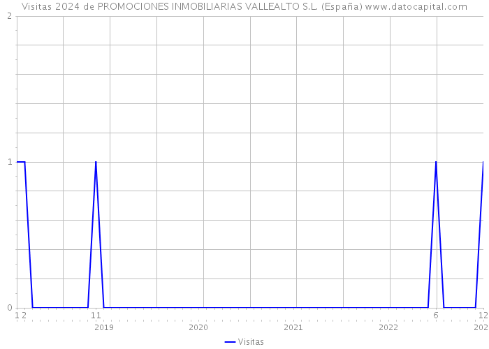 Visitas 2024 de PROMOCIONES INMOBILIARIAS VALLEALTO S.L. (España) 