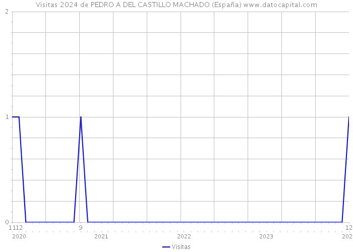Visitas 2024 de PEDRO A DEL CASTILLO MACHADO (España) 