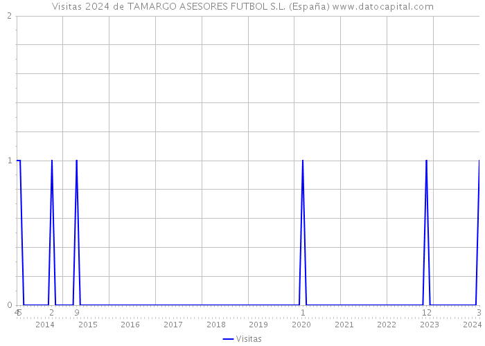 Visitas 2024 de TAMARGO ASESORES FUTBOL S.L. (España) 