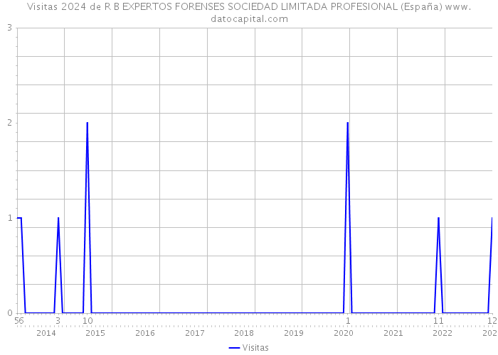 Visitas 2024 de R B EXPERTOS FORENSES SOCIEDAD LIMITADA PROFESIONAL (España) 