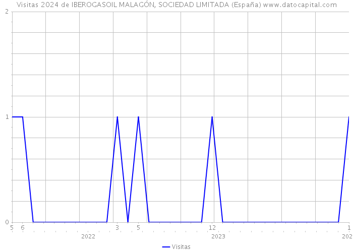 Visitas 2024 de IBEROGASOIL MALAGÓN, SOCIEDAD LIMITADA (España) 