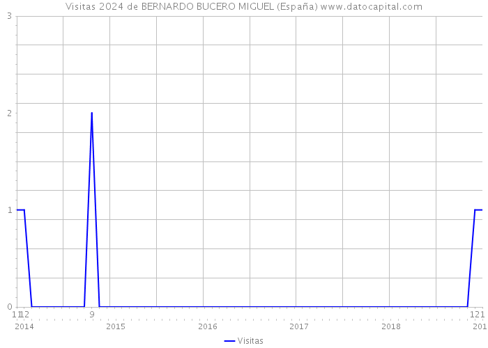 Visitas 2024 de BERNARDO BUCERO MIGUEL (España) 