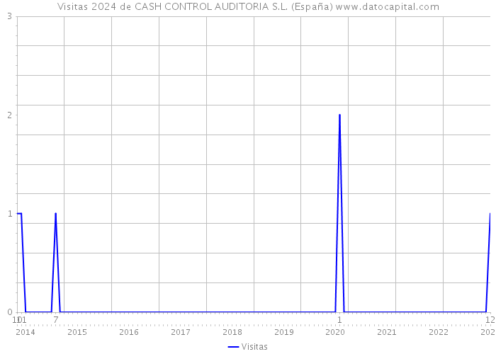 Visitas 2024 de CASH CONTROL AUDITORIA S.L. (España) 